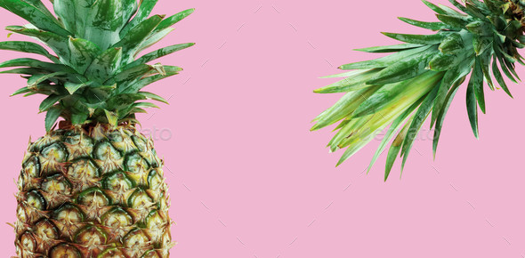 pineapple on pink background Stock Photo by RK1979 | PhotoDune